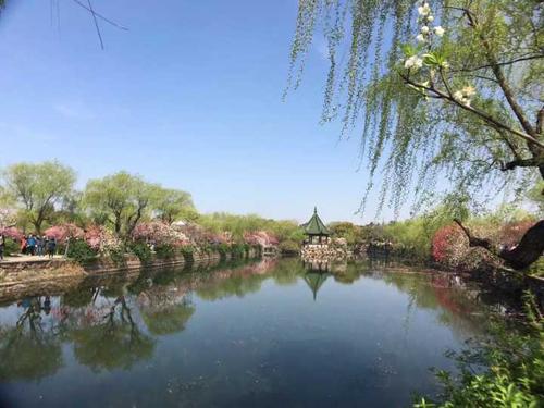 最难忘的风景