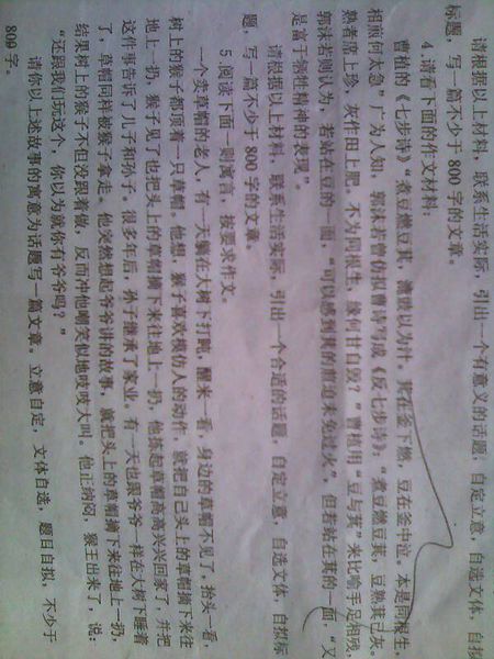 关于等待的800字论文