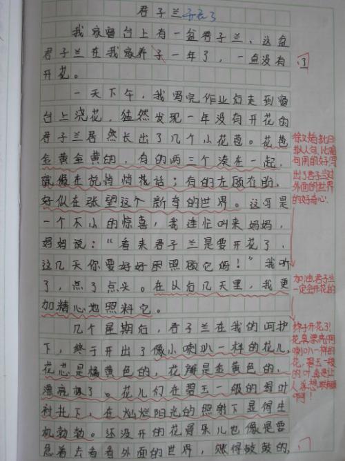 陪我什么旅行作文600个单词初中作文