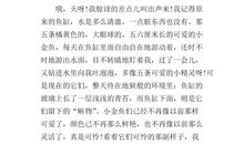 小金鱼，对不起