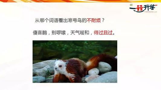 寒鸟续集二年级