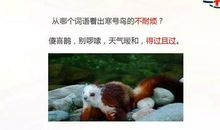 寒号鸟的续写故事二年级