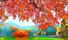 这种幸福是不一样的