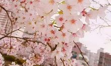 万里长征拨动了我的心弦