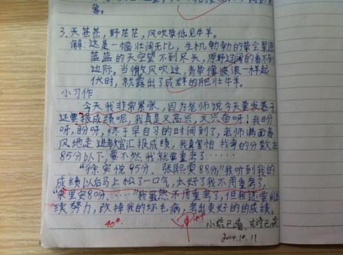 繁荣的西沙群岛小练习笔选择图片并写几句话