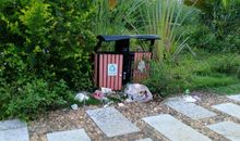 小区里的不文明