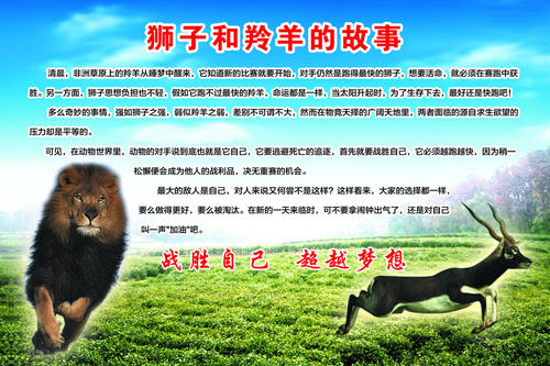 羚羊和狮子