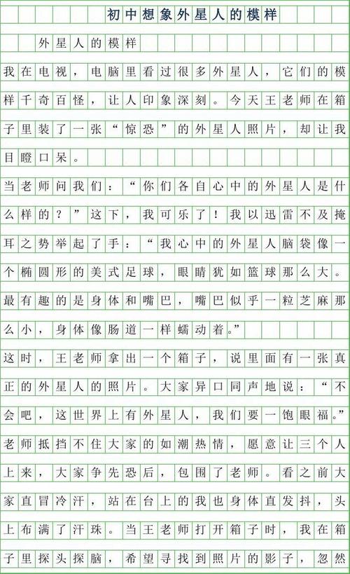 富有想象力的构图描述风格