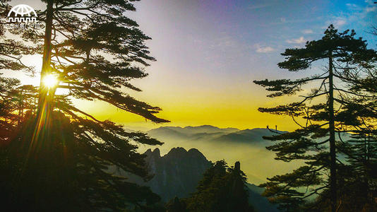 我在风雨中看到了美丽的风景