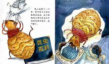 蚂蚁的小秘密