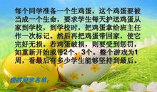 四年级作文护蛋行动