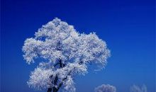 游洞庭湖冰雪世界