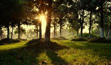 守望那一缕阳光