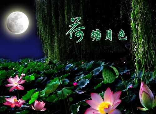 月亮夜荷花池