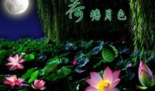 月夜荷塘
