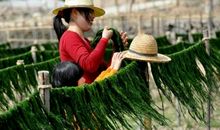 又是一个收获季