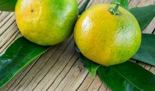 我最喜欢的水果橘子