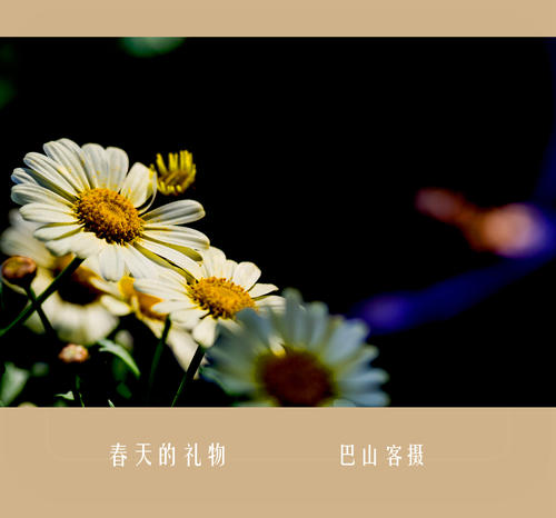 春天的惊喜