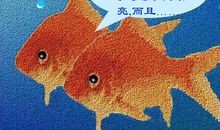 假如我是一条小鱼