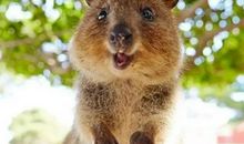 认真的你更可爱