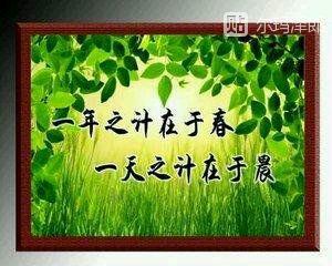 一天的计划是在早上
