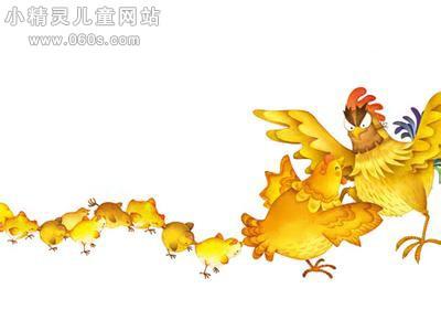 赶上小鸡