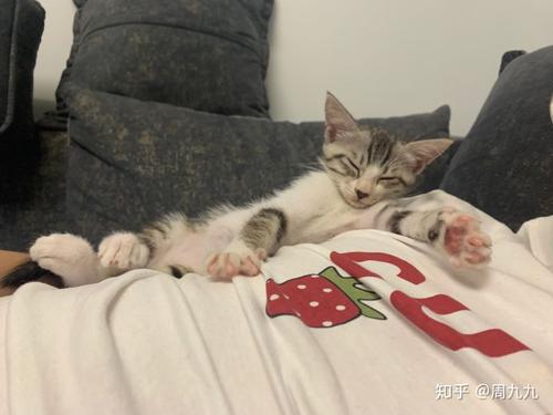猫姊姊练习医学_600字