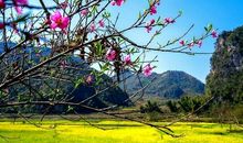 我爱美丽的桃花源四季