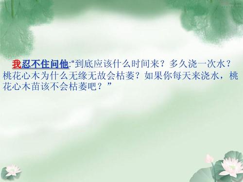 如果我是桃花心木