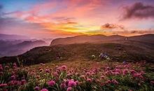 遗憾，也是一种美