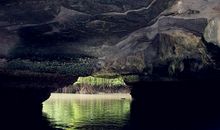 红树林的一小时