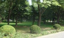 曾可否记得，那年雪飘