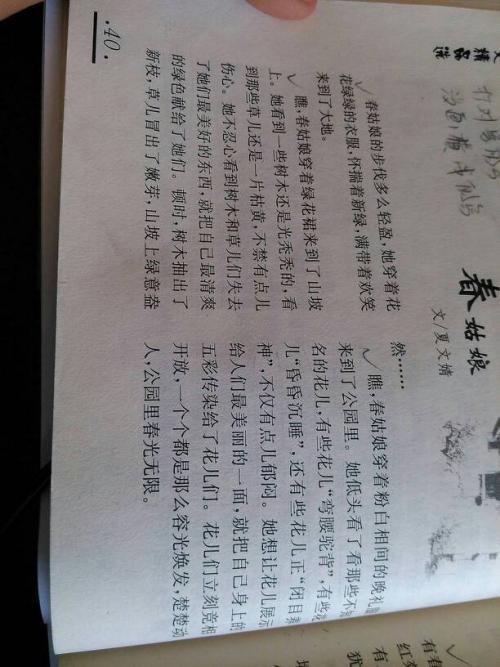 三年级300字作文