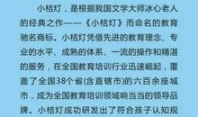 小鬼当家一天作文