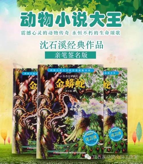 关于“血熊”的思考