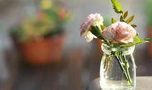 沉淀自己的心灵