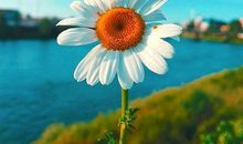 走在追梦的路上