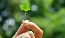 我的知己——小金鱼