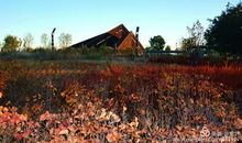 让友情滋润心灵