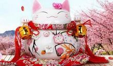 来之不易的好运