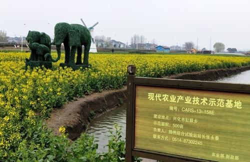 我与春天的故事