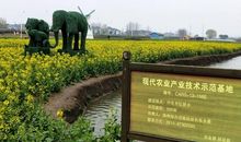 我和春天的故事