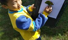 我的大自然朋友