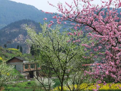 春到尖山