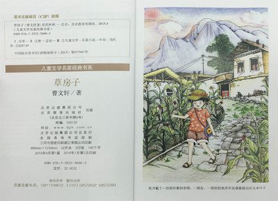 电影《稻草屋》和这本书之间的区别