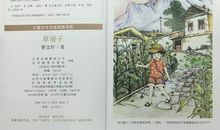 电影《草房子》与书中的不同