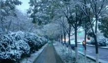 又是一年冬来到