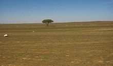 原来我也很渺小