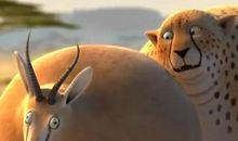 假如我是一只动物