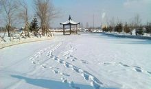 冬天其实并不冷